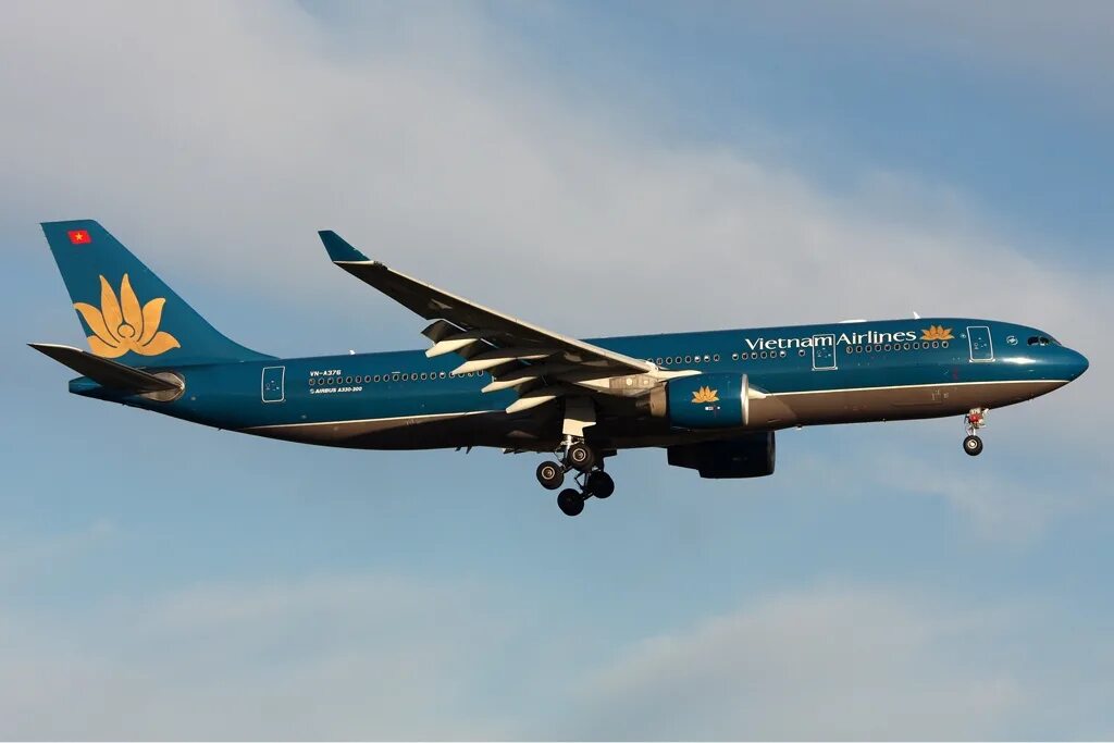 Аэрофлот во вьетнам. Боинг 787 вьетнамские авиалинии. Vietnam airlines flight 831. Vietnam airlines в шереметьево. Вьетнам аирлинес.