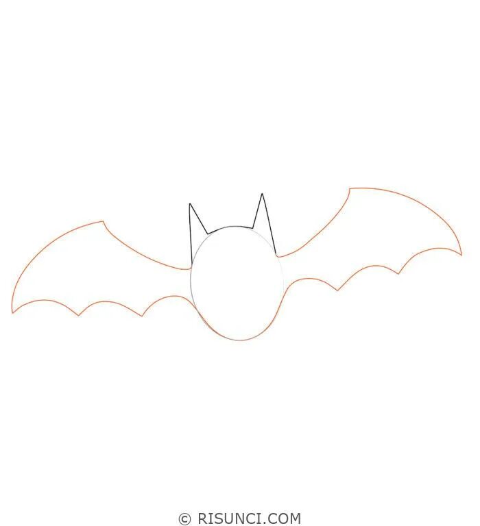Как нарисовать летучую мышку. Как рисовать летучую мышь. как нарисовать летучую мышь. летучая мышь карандашом. поэтапное рисование летучей мыши.