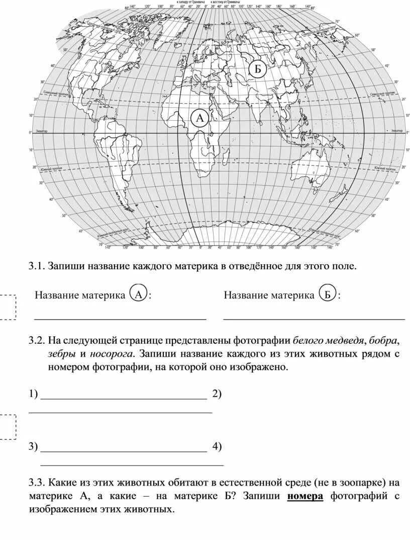 Запиши название каждого материка в отведенное. Запишите название каждого материка в отведенное для этого поле. Запиши название каждого метрика в отведённое для этого поля. Запиши название каждого материка в отведённое для этого.