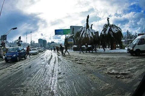 Погодные условия в сочи