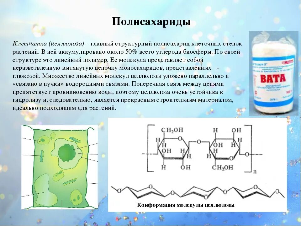 Целлюлоза является полимером