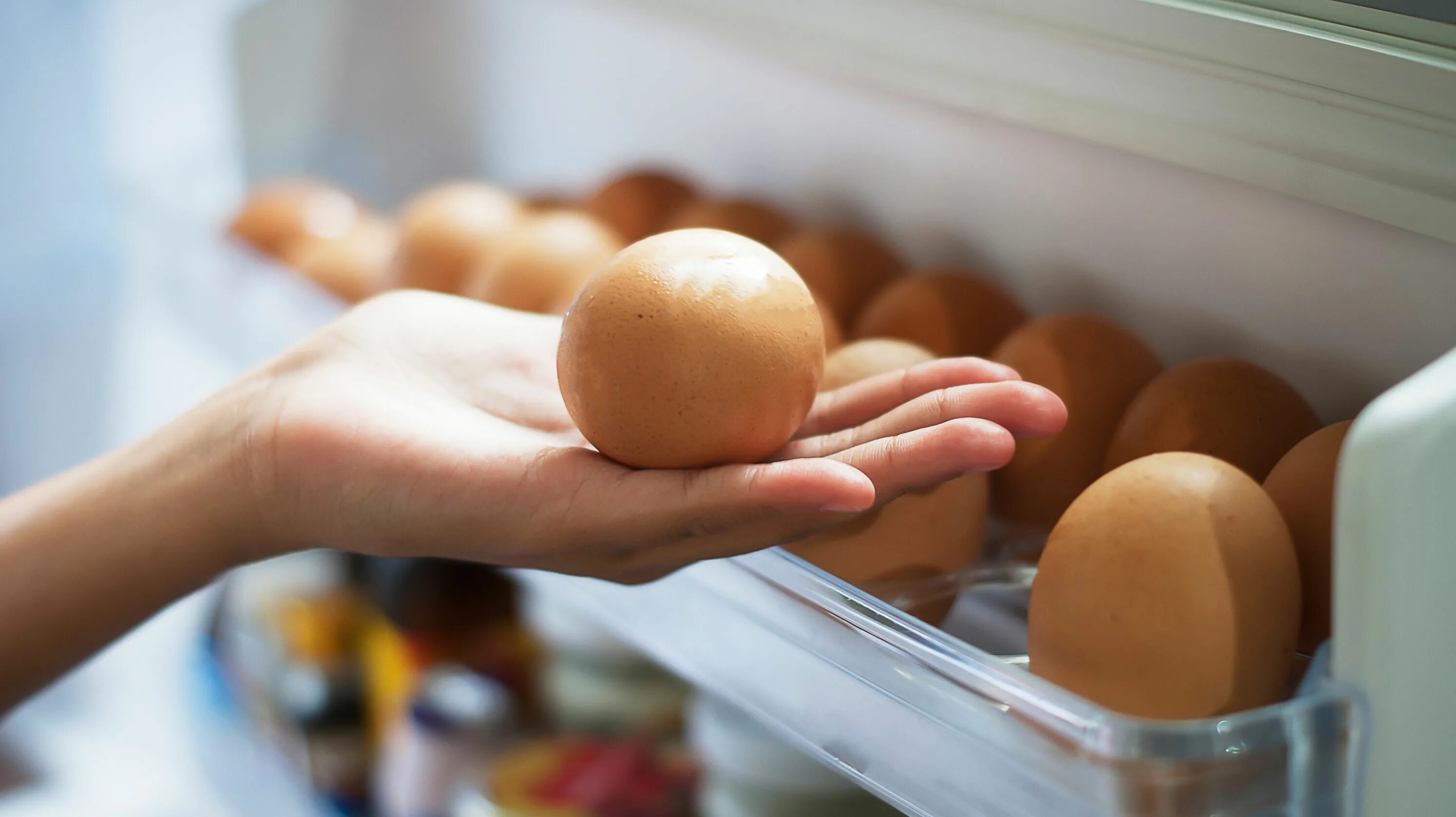 There are many eggs in the fridge