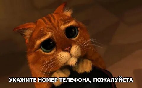 Пожалуйста хорошее видео