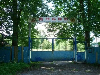 Дубки осинки