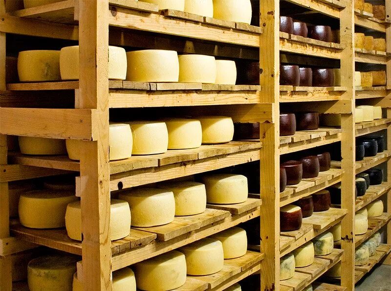 калачеевский сырзавод молвест. сырный цех. маслосырзавод алатырь. завод по производству сыра. сыры сернурский сырзавод в марий эл.