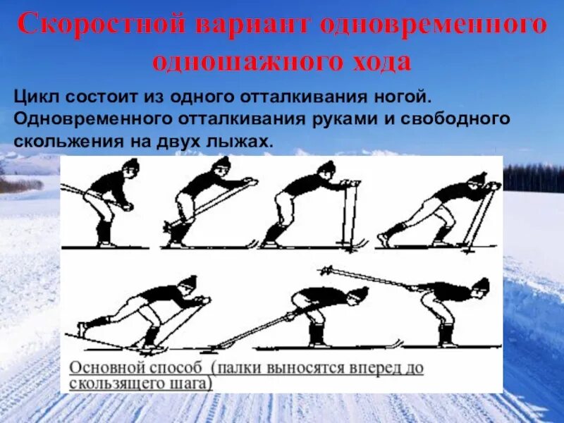 Основной вариант. Одновременный одношажный скоростной ход на лыжах. Цикл одновременного одношажного хода. Одновременный одношажный классический лыжный ход. Лыжные гонки одновременный одношажный ход