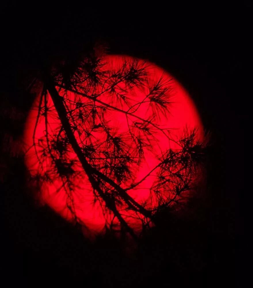 Красное солнце 3d. Distorted circles. Blood sun. Кроваво красное солнце. Distorted peroka.