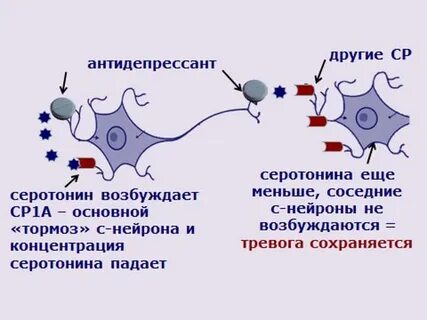 Антидепрессанты серотонин