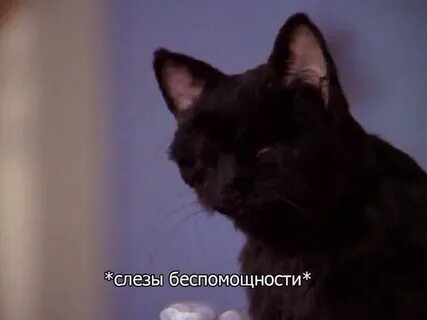 Звук разочарования