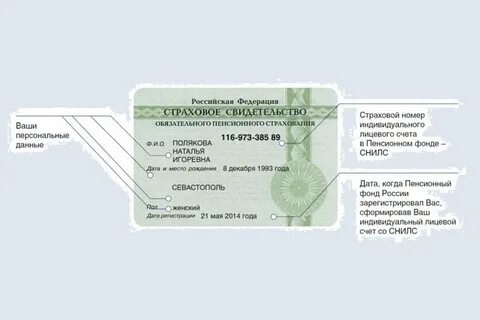 Почему просят снилс