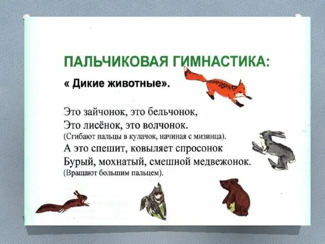 Проект в мире животных группа Пазл Ravensburger Африканские друзья 300 деталей 13075 купить в Королевство иг