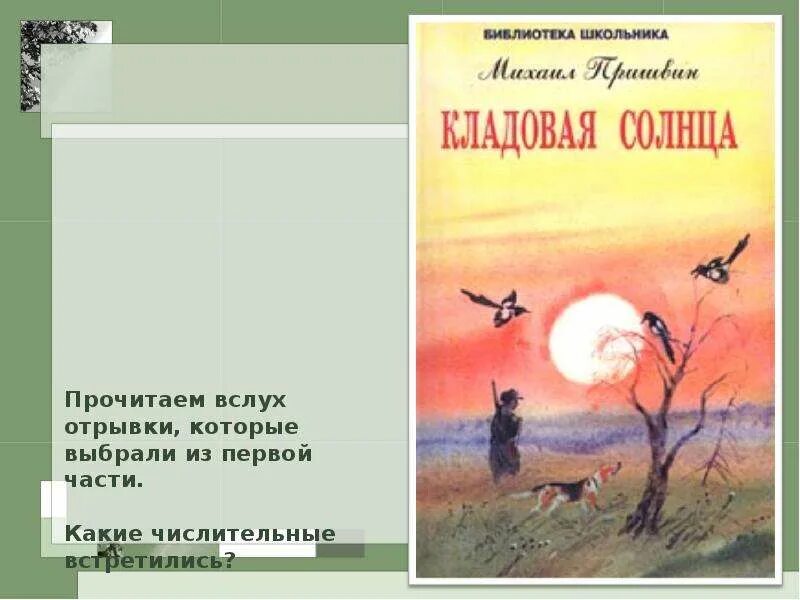 Читать рассказ кладовая. Пришвин м.м. "кладовая солнца". Изложение м. м пришвин кладовая солнца. Кладовая солнца отрывок. Прочитать кладовая солнца.