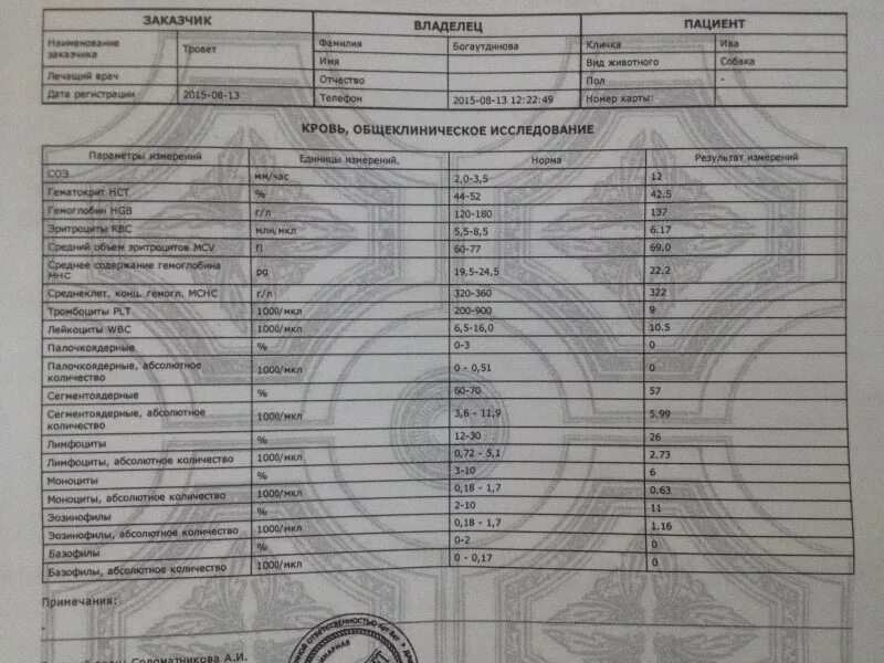 Лейкоз анализ крови показатели. Анализ мочи у собаки расшифровка. Биохимический анализ мочи собаки норма. Показатели биохимии крови при опухоли. Какие показатели крови в общем анализе крови.