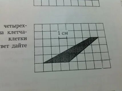 На клетчатой бумаге 1х1 нарисована змейка
