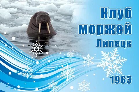 Клуб моржей
