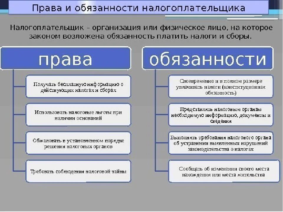 3 налоговые органы российской федерации