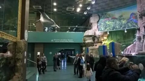Москва вднх режим