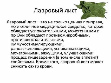 Как правильно заваривать лавровый лист для лечения