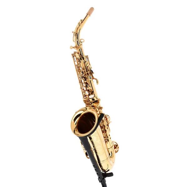 Alto saxophone. Саксофон Сельмер Альт. Selmer Signet Alto Saxophone. Трость для Альт-саксофона Forestone fas020 (FASXS). Saxophone Rampone & Cazzani.