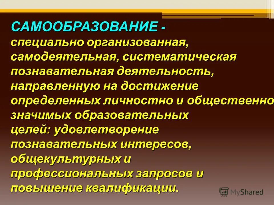 Способы достижения образовательных результатов. Педагогические достижения. Значимые педагогические достижения. Учебные достижения. Направленность образовательной программы.