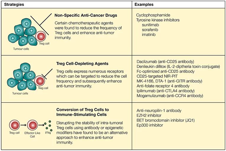 Non specific view. Anticancer drugs. non specific immunity example. t cells cancer. pit клетки.