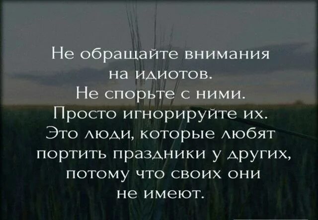 Высказывания о внимании. Не обращай внимания цитаты. Цитаты, не обращайте внимание. Не обращать внимание цитаты. Цитаты про внимание.