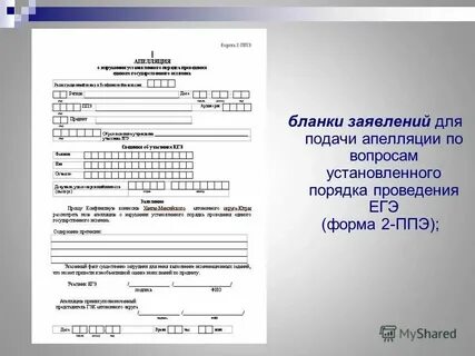 Когда можно подать заявление на егэ