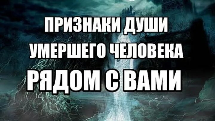 Душа умершего находится дома. Душа человека после смерти до 40. Души родственников после смерти. Где находится душа после смерти. Признаки души.