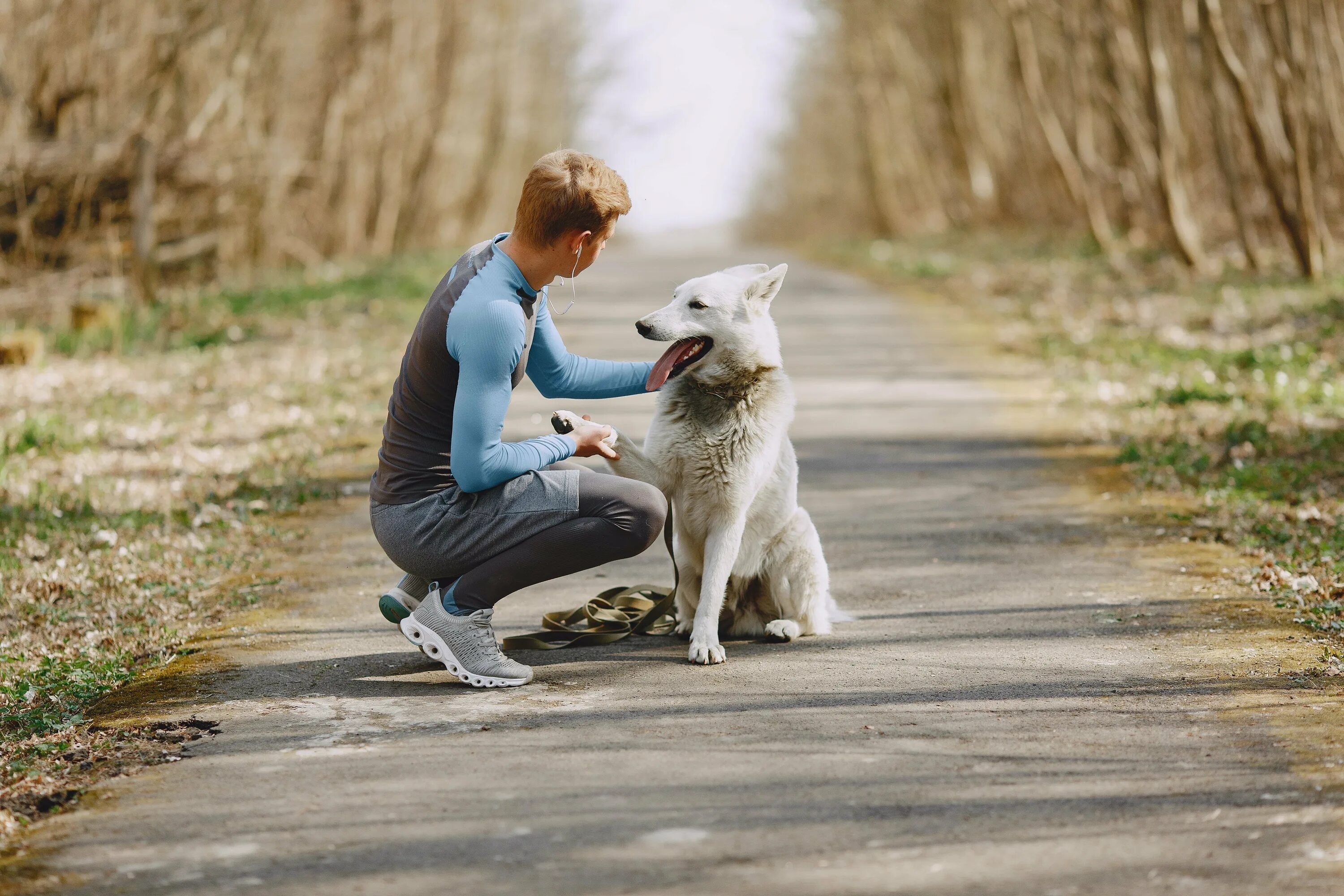 Walking pet. Забота о животных. Человек заботится о животных. Забота о животных картинки. Общение собак.