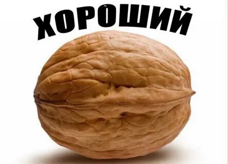 Пустые слова без ядра
