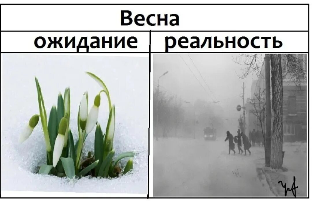 Смешное про весну. Вена ожидание реальность.