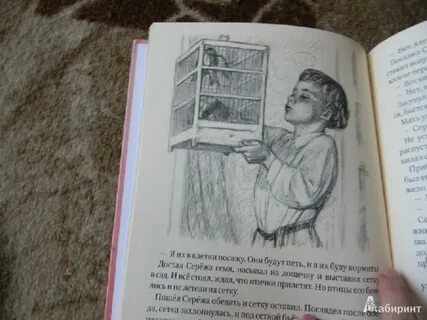 Рассказ кости