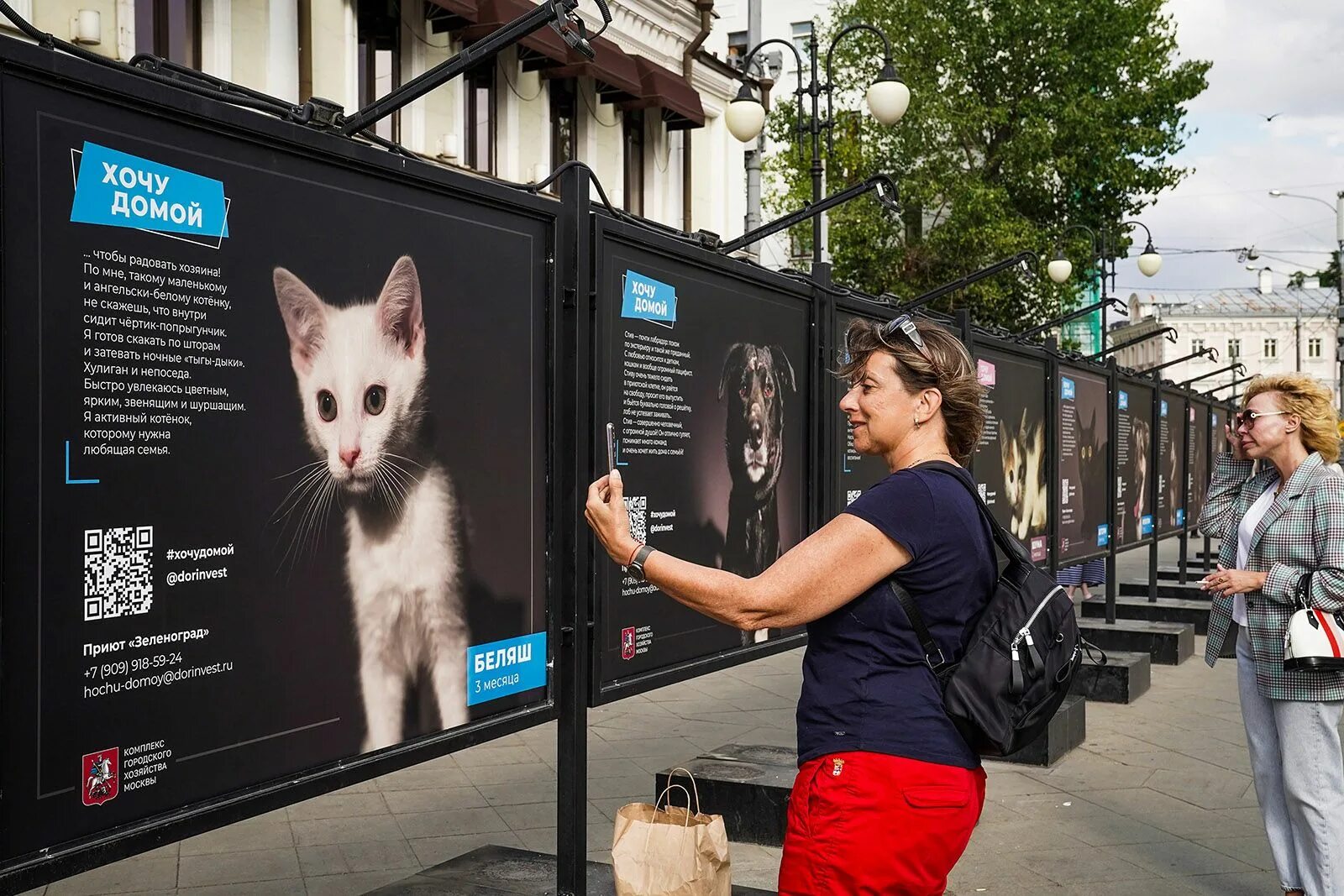 Выставка бездомных животных в Москве. Фотовыставки животных из городских приютов. Выставка на улице. Выставка животных из приюта.