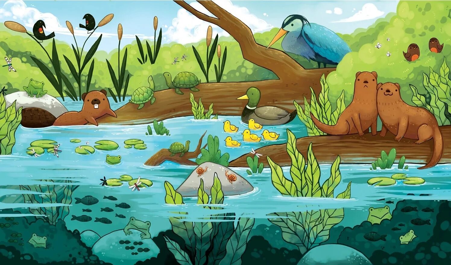 Рисунки водоемов для детей. Экосистема. обитатели водоемов для детей. экосистема водоема. обитатели пруда для дошкольников.