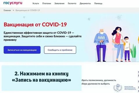 Почему налоги не отображаются на госуслугах