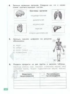 Окружающий мир 2 класс занкова рабочая тетрадь