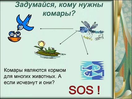 Комар какое окончание