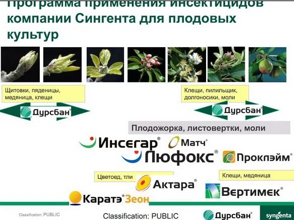 Инсектициды список препаратов. Инсектицид Сингента. Инсектицид для сои. Грушевая медяница инсектициды. Бакарди Сингента.