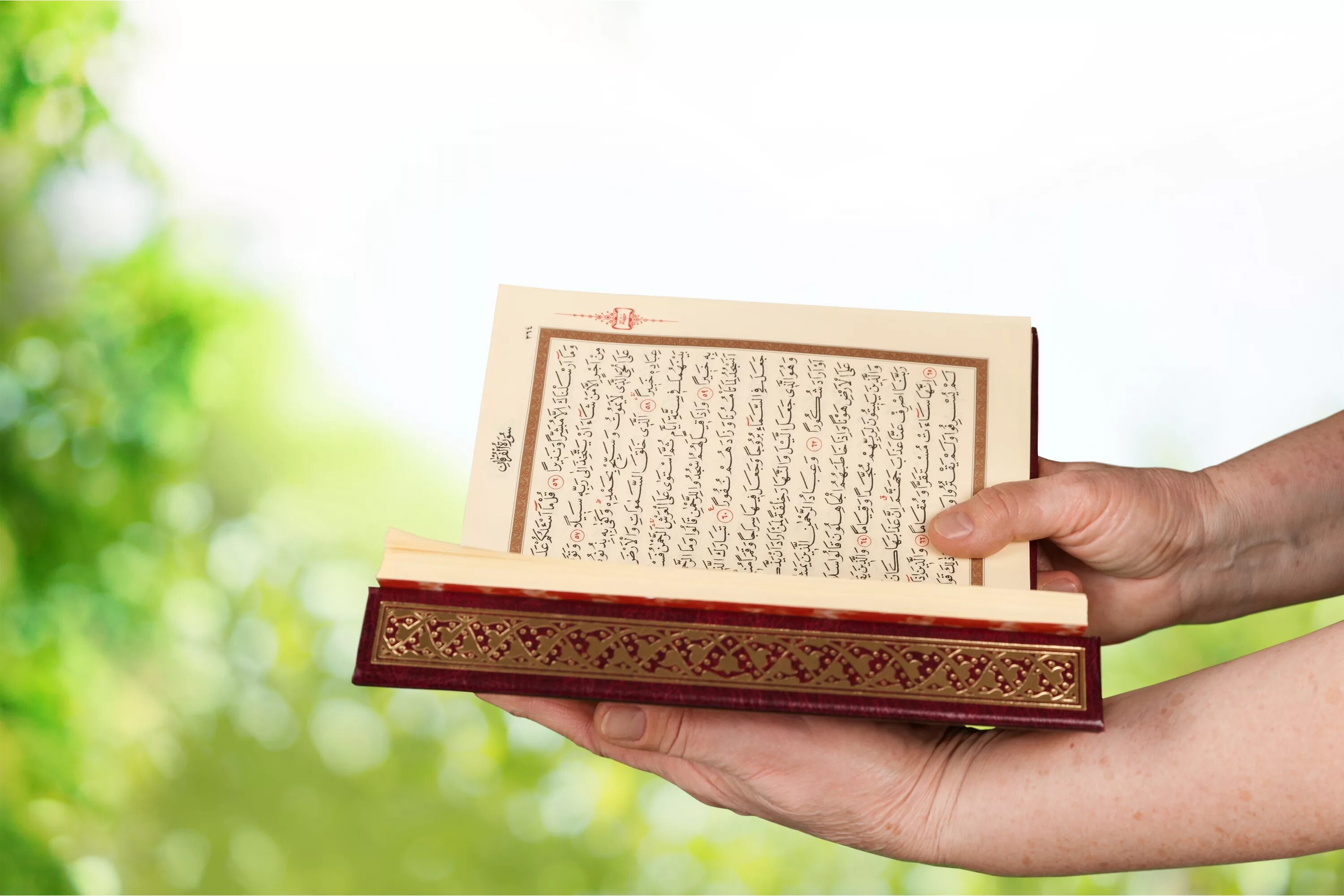Коран лучшее чтение корана слушать. Коран. Чтение Корана. Книга "Коран". Коран на рабочий стол.