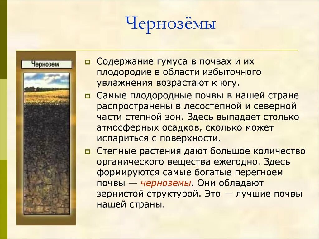 Почвы россии 4 класс 21 век презентация. Чернозем самая плодородная почва. Черноземные почвы лесостепной зоны. Черноземные почвы распространены. Плодородие черноземных почв.