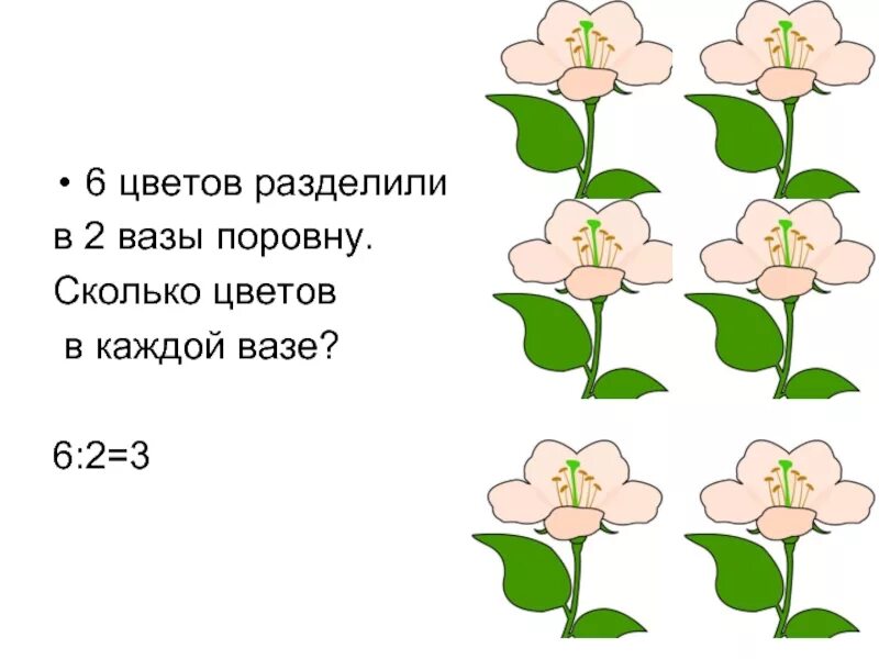 Сколько луковиц в каждом ряду. Задача с цветочками. Числовые цветочки. Делить цветы. Задачи на деление поровну.