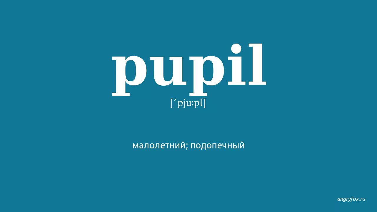 Pupil перевод на русский язык с английского