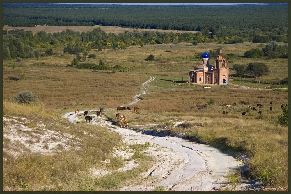 Никольское ростовская область. Покровская Церковь Никольская Миллеровский район. Никольский храм Миллеровский район. Храм в Никольском Миллеровский район. Никольская Миллеровский район.