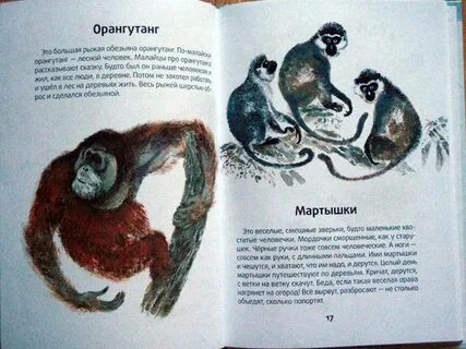 Моя первая зоология 3 класс литературное чтение