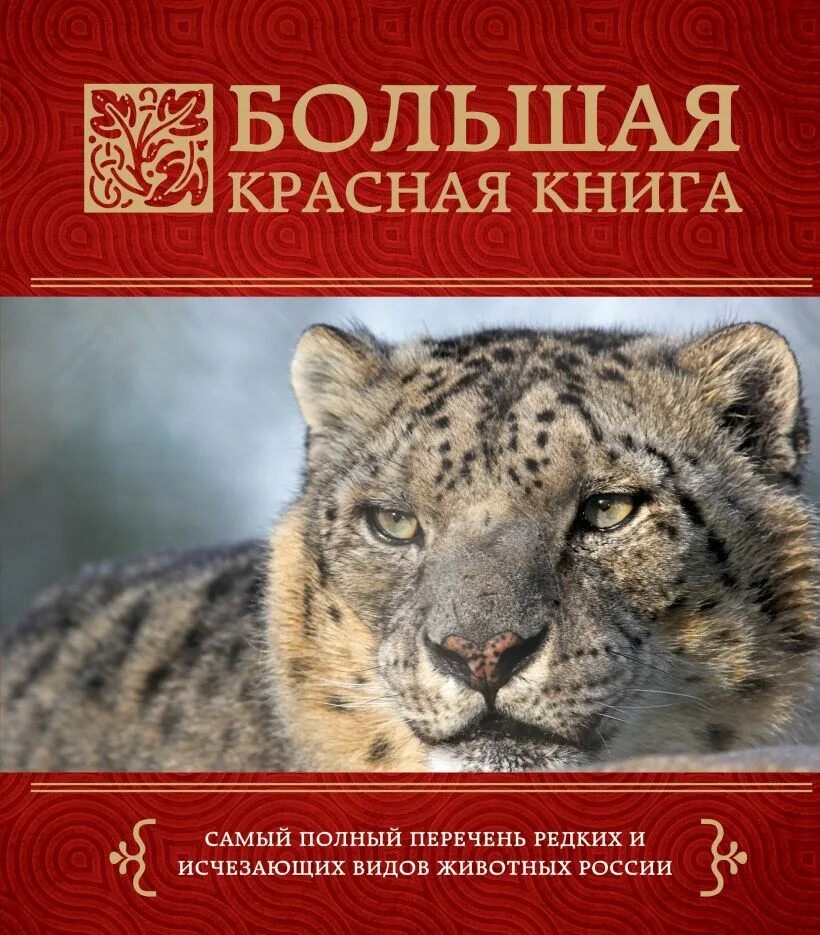 Книга animals animals. Красная книга. Красный. Красная книга России. Красная книга обложка.