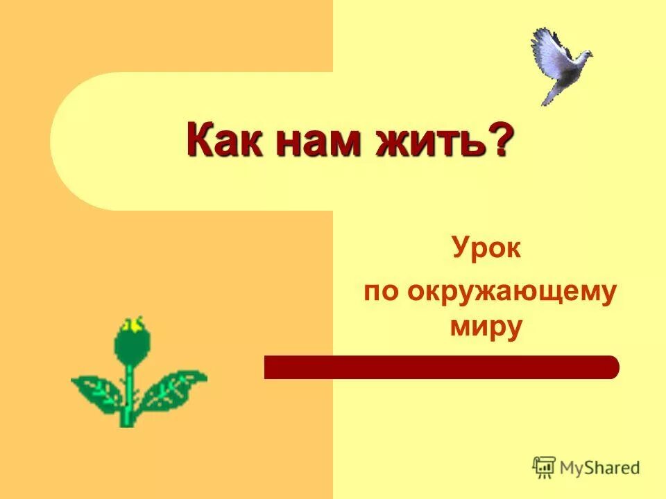 Единство живой и неживой природы. Презентация урока мой адрес. Конспект урока на тему какие праздники мы знаем?. 1 Класс.