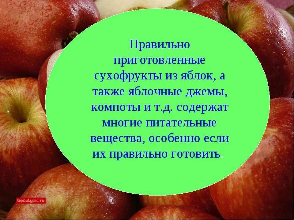 В каком количестве можно есть яблоки. Полезные свойства яблок. польза яблок для организма. сушёные яблоки витамины. польза яблок для организма женщины.