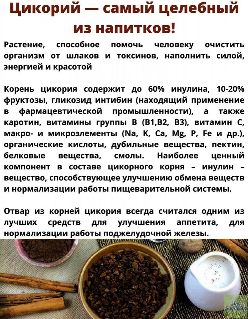 Сколько раз пить цикорий в день. Цикорий поджелудочная железа. цикорий витамины и микроэлементы. цикорий польза для здоровья. цикорий при почечной недостаточности.