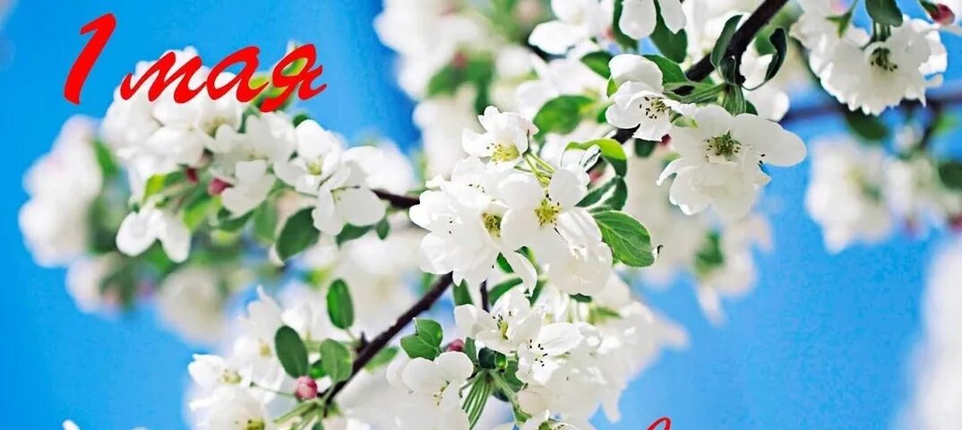 1 мая фон. Праздник. 1 мая. фон май.