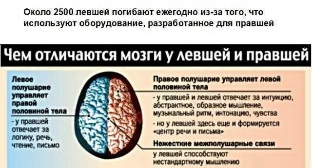 Левое полушарие какая рука. Полушария мозга. Мозг левши и правши. Левое и правое полушарие мозга. Полушария левши и правши.